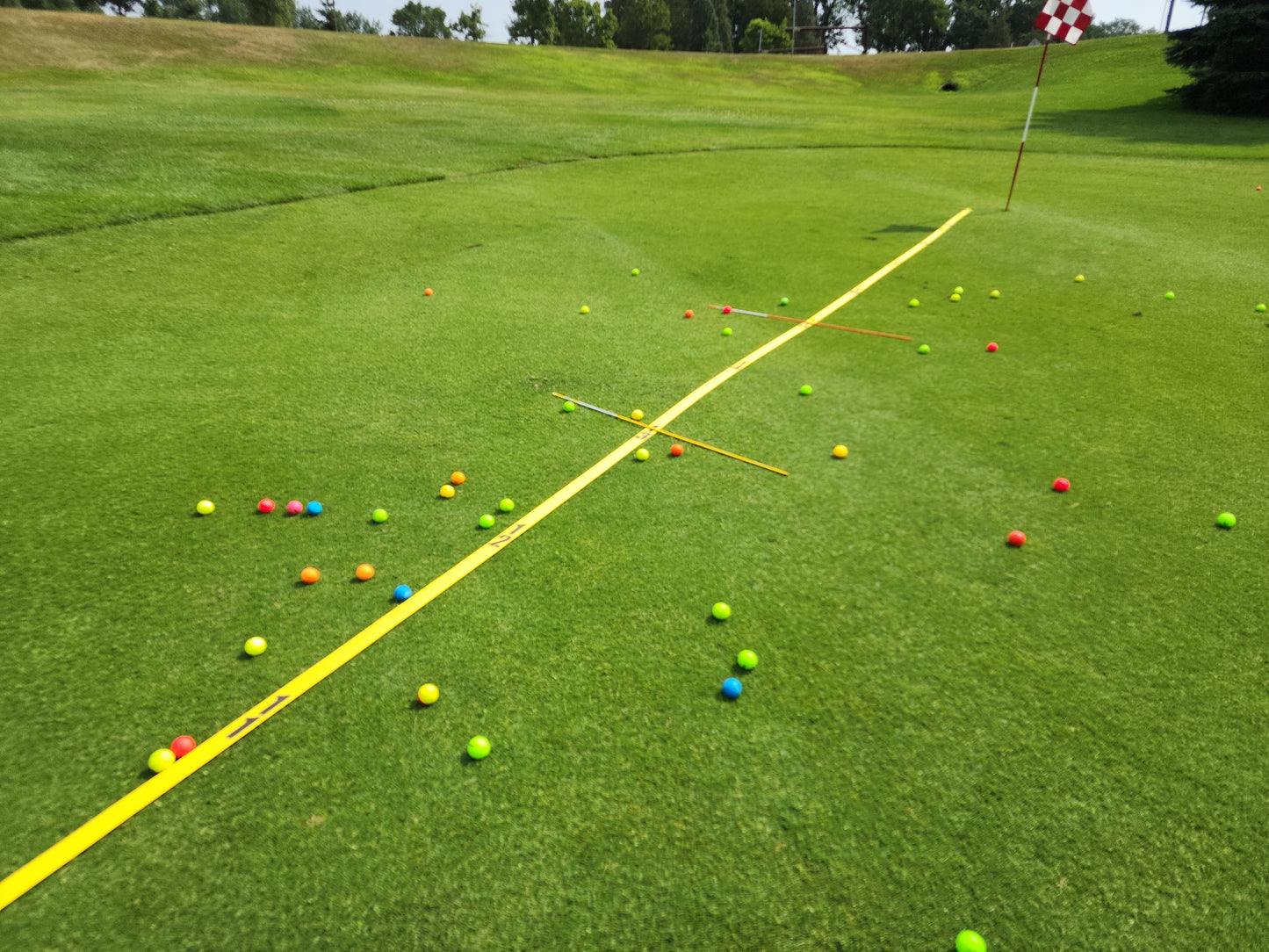 Chip Strap 20 Yard Training Aid